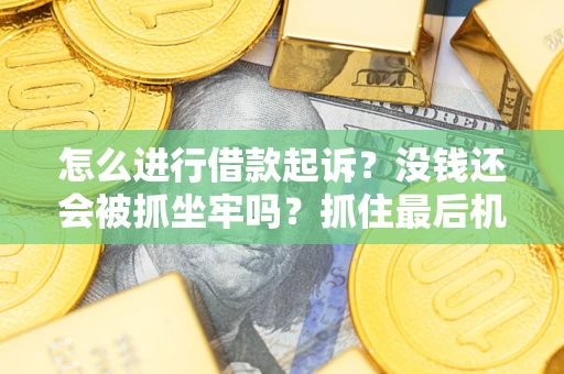 济南怎么进行借款起诉？没钱还会被抓坐牢吗？抓住最后机会！
