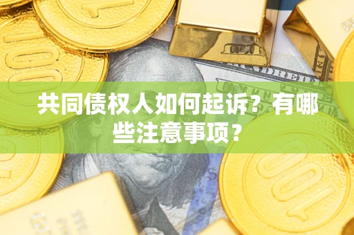 济南共同债权人如何起诉？有哪些注意事项？